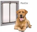 verkoop van honden en puppy's gratis bezorgd